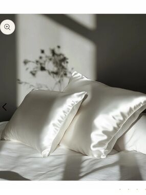 Colorado Home Co Sunday Silks 100% Mulberry Silk Pillowcase Set Off White